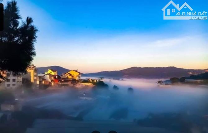 VILLA 2 MT TRIỆU VIỆT VƯƠNG 300m2 2 TẦNG HOÀN CÔNG VIEW THUNG LŨNG RỪNG THÔNG - 2