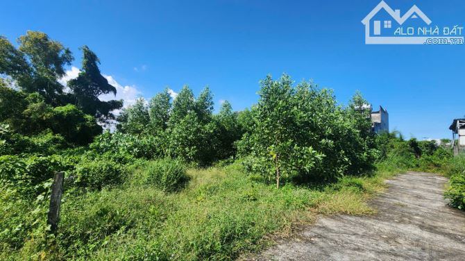bán đất 2 mặt tiền đường 1340m2 phủ hồng, lô 2 lê minh công, lagi. gần biển, giá ngộp - 2