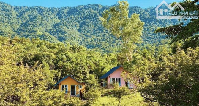 2336M2 LÔ GÓC ( 9 TRIỆU/M2 ) 800M2 THỔ CƯ  KHU NGỌC LINH - 2