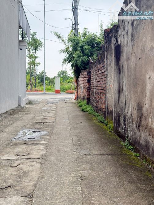 Bán gấp 48m Thôn Đoài - Nam Hồng - Đông Anh, cách bìa làng 15m, ô tô 7 chỗ vào đất, - 2