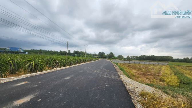 Bán 6m x 37m đất thổ cư Đường Lê Đức Thọ, Tân Bình, LaGi giá mềm gần Trường học - 2