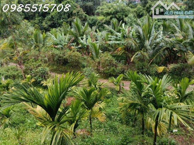 Cần tiền bán nhanh lô đất Xã Ba, Huyện Đông Giang, Quảng Nam, DT 10.115m2, giá đầu tư - 2