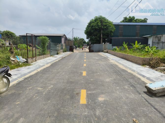 Bán đất khê nữ Nguyên Khê 80m² 6,5 tỷ - 2