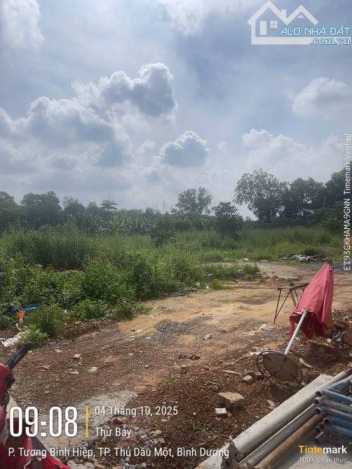 BÁN ĐẤT THỔ CƯ GIÁ RẺ – TP. THỦ DẦU MỘT – SỔ HỒNG RIÊNG – GẦN UBND PHƯỜNG CHÁNH HIỆP - 2