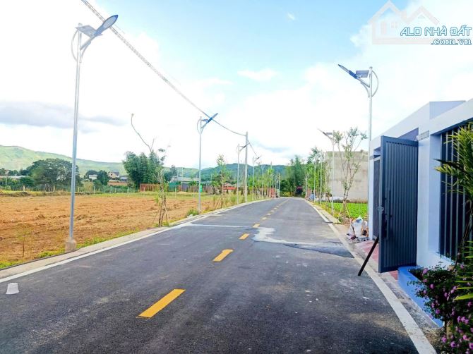 BÁN ĐẤT – BÁN NHÀ KHU DÂN CƯ MAI ANH ĐÀO – PHÚ HỘI – ĐỨC TRỌNG - 2