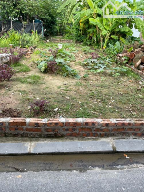 💁‍♀️LÊN SÓNG 40M2 ĐẤT NHỎ XINH - GIÁ ĐẦU TƯ - PHÚC THỊNH - Ô TÔ RA VÀO ĐẤT🍀🍀🍀 - 2