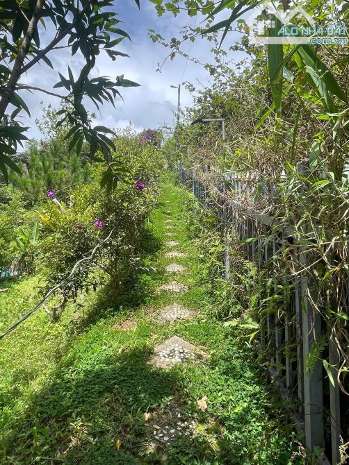 🌿✨BÁN ĐẤT MĂNG LIN🌿✨ - P.7 - ĐÀ LẠT🌿✨ - 🌿 🌄🌿VIEW ĐẸP KHÍ HẬU MÁT MẺ CHỈ VỚI 6 TỶ ✨✨✨ - 2
