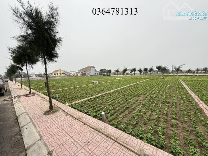 Rẻ nhất bãi tắm mới Giao Phong, 86.5m2 MT4.5m cách biển 200m sổ full cư giá chỉ 1.9 tỷ - 2