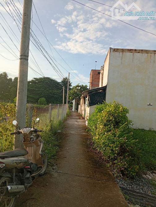 Bán đất có nhà yến DT ngang 10x15=150m thổ cư full, xã Bình Khánh cần giờ TP HCM - 2