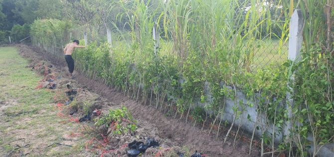 CHÍNH CHỦ - cần bán 1273m2 xã Tân An Hội - Củ Chi, đường bê tông 12m, mặt tiền 21m - 2
