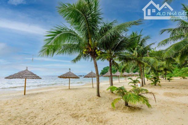 💥 SIÊU RẺ, MT BIỂN ĐƯỜNG HOÀNG SA, THỌ QUANG, S236m², NGANG 10.0m, GIÁ 105 TỶ 💥 - 2