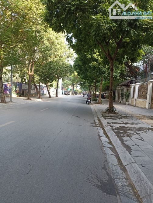 Biệt Thự Mễ Trì 215m2, MT 10m, siêu đẹp, Vỉa hè, Ô tô, ở sướng, VP, KD chỉ 47 tỷ. - 2