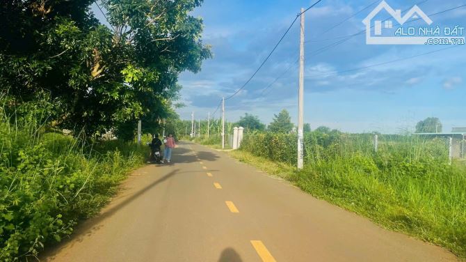 BÁN 640M2 SẴN TC ĐƯỜNG CÁCH MẠNG THÁNG 8 - TT ĐẤT ĐỎ ,GẦN TRÁNH QL55 ĐI KCN CHỈ 3KM - 2