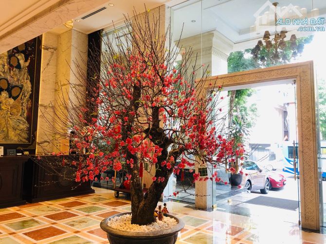 Bán Khách Sạn MP Trần Hưng Đạo 420m2 12 Tầng Mặt tiền 12m, trung tâm Hoàn Kiếm, Giá 460 tỷ - 2