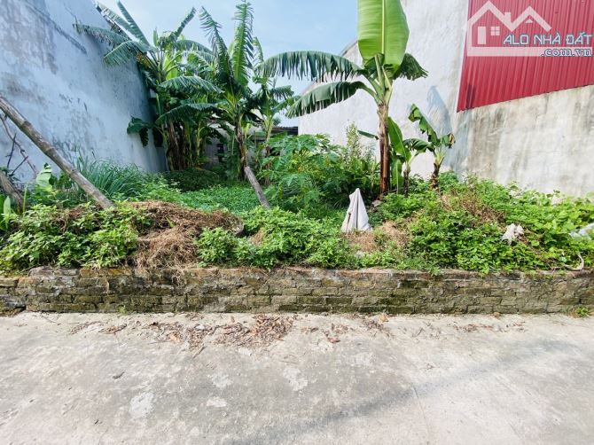 Chỉ hơn 1 tỷ có ngay 62m2 đất Đông Xuân- Sóc Sơn- Đường thông- oto đỗ cửa - 3