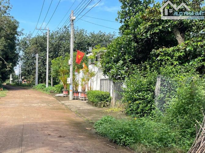 Bán Đất Thổ Cư Có Vườn Sầu Riêng, diện tích 339m2, Giá 830 triệu, Gần Chợ An Linh - 3