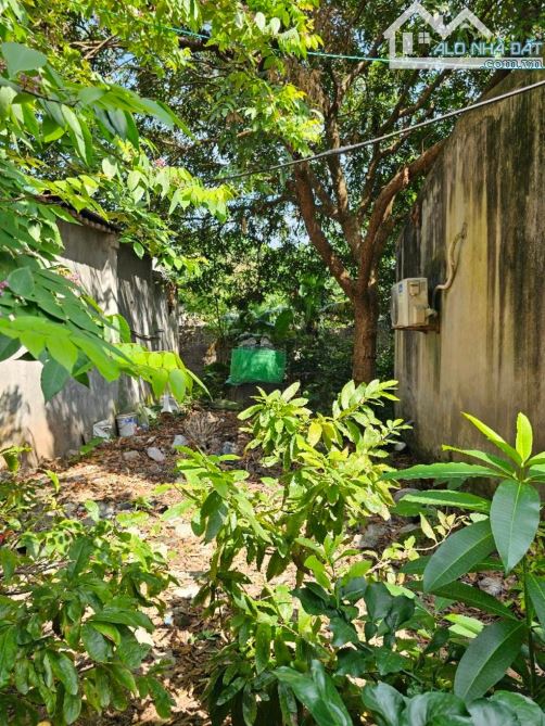 🏡 BÁN ĐẤT THUÝ LĨNH-LĨNH NAM – HÀ NỘI ✨ Mảnh đất cực đẹp, vị trí đắc địa – mặt tiền rộng - 3