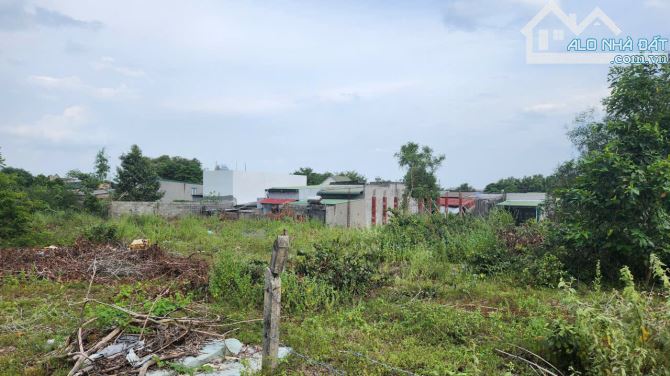 Bán 1.3 sào đất gần 577 - Tân Phước - TX LaGi giá ngộp chỉ 1.3 tỷ - 3