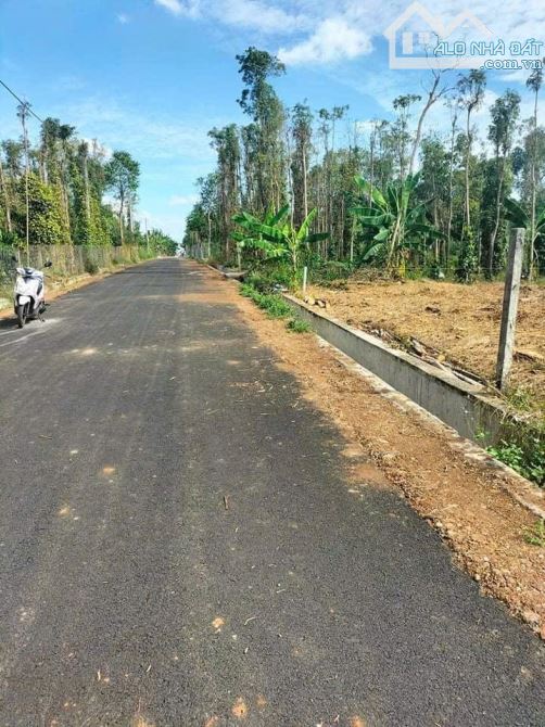 Còn 2000m2 đất ..23x86 nhựa 7m sổ hồng công chứng - 2