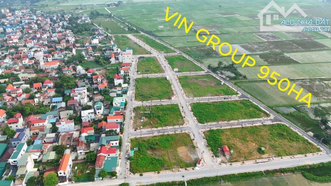 Đấu giá Đỗ Động đối diện chung cư kinh doanh - 3