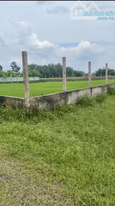 8.7m mặt ngang xã trung lập thượng đường tỉnh lộ 2 vào 100mét sổ hồng thổ đủ - 3