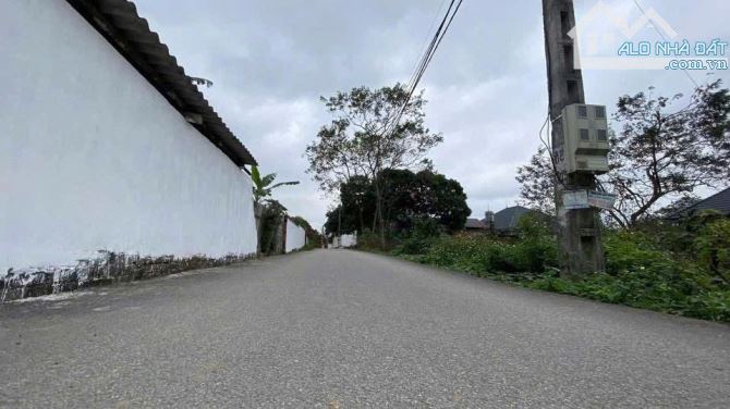 Bán 122m đất Tam Dương cách trường chuyên VP 1.5km giá tốt 1,x tỷ - 3
