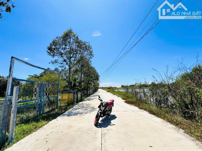 Bán 3ha đất mẫu Gần Biển Lagi 5 phút - Sổ Hồng Riêng - Gía chỉ: 1,3tr/m2 - 3