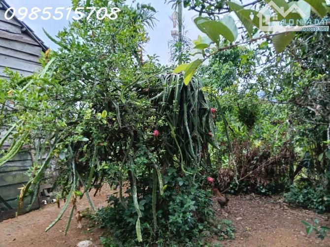 Cần tiền bán nhanh lô đất Xã Ba, Huyện Đông Giang, Quảng Nam, DT 10.115m2, giá đầu tư - 3