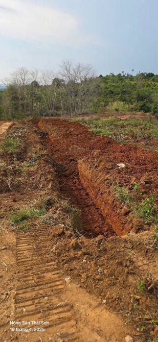 LÔ ĐẤT 2.6ha EAKIET GIÁ 175Triệu/ SÀO - ( thực tế 2,9ha) - 3
