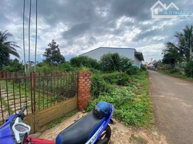 🔥 CHỈ 1 TỶ 980 TRIỆU – ĐẤT MẶT TIỀN KA1, VỊ TRÍ SIÊU ĐẸP 🔥 - 3