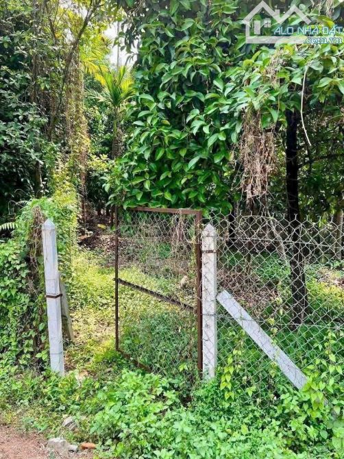 🌿 BÁN ĐẤT MT AN SƠN 01 – 8.7x26=200m², TC 100m² – GIÁ 3 TỶ 8 🌿 - 3