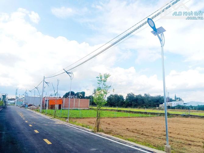 BÁN ĐẤT – BÁN NHÀ KHU DÂN CƯ MAI ANH ĐÀO – PHÚ HỘI – ĐỨC TRỌNG - 3