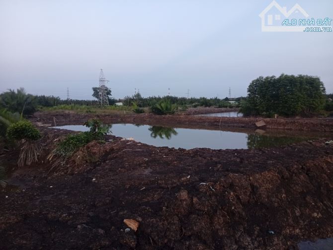 Bán đất nông nghiệp DT 1000m xã An Thới Đông cần giờ, - 3
