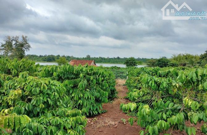 💥  ĐẤT SÀO 2 MẶT TIỀN VIEW HỒ BA VÒI- HÒA KHÁNH- BMT - 3