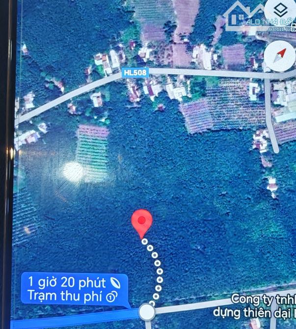 Bán 1,3ha cao su đang thu hoạch ở Phước Sang, Phú Giáo, Bình Dương giá rẻ 4 tỷ - 3