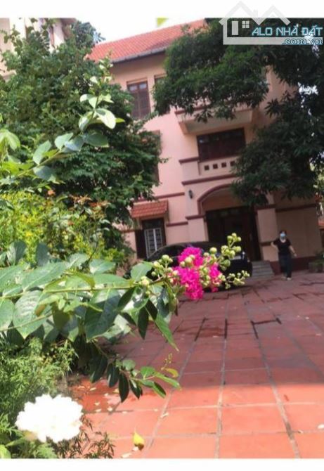Cơ hội vàng đầu tư – Mặt phố Đội Cấn, lô góc siêu hiếm – 452m², lợi nhuận dài hạn! - 3