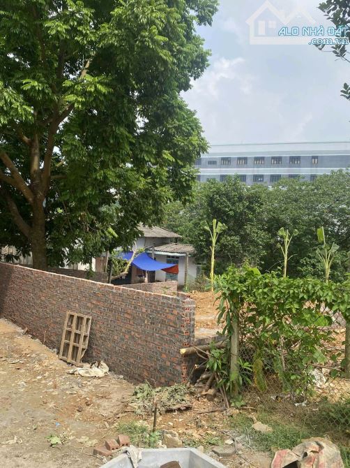 Chính chủ!! Gia đình có mảnh đất 100m2 * MT 10m Vân Cơ - Việt Trì cần kết nối ai nhu cầu - 3