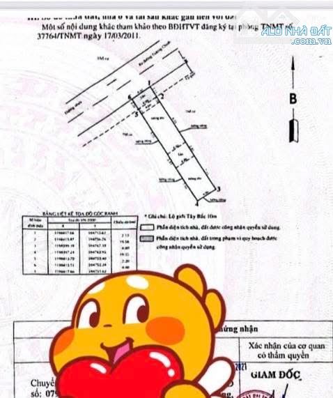 Gấp bán, Nhà Cấp 4 hẻm 10m thông đường TRƯỜNG CHINH, DT 87m2 (4 x 22), gần Chợ Lạc Quang. - 3