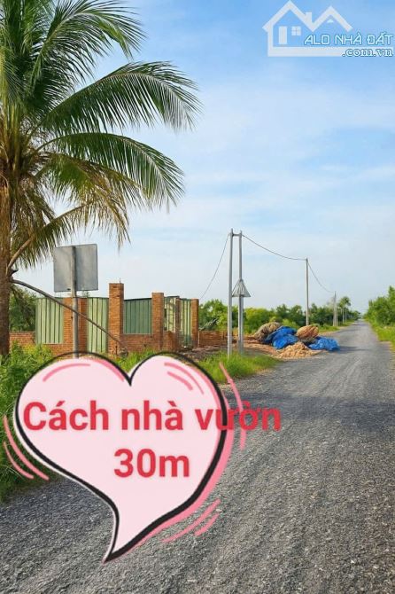 1277m2 đất Vườn Mặt Tiền 5 Liệt Thạnh Hoà Bến Lức Long An - 3