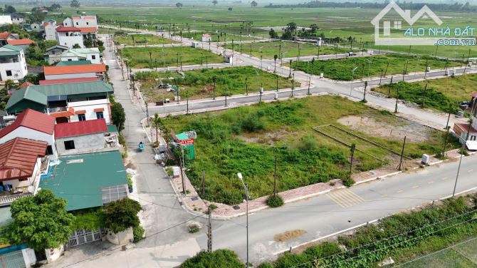 Đấu giá Đỗ Động đối diện chung cư kinh doanh - 4
