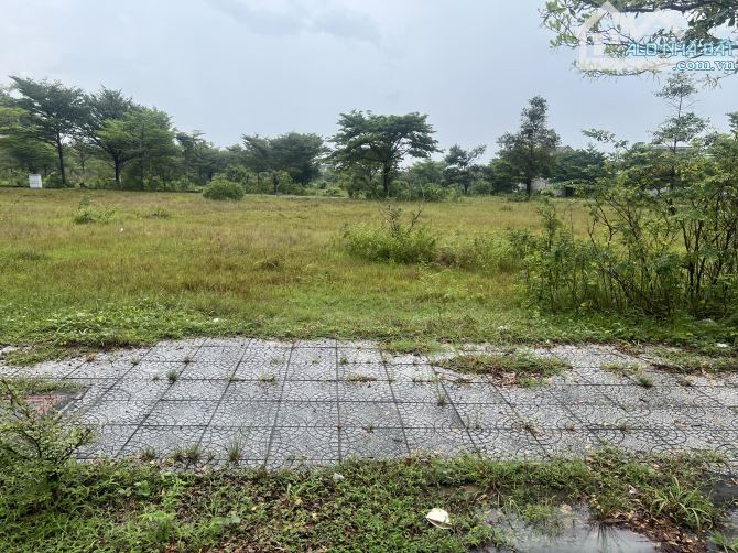Đất ngộp cần bán gấp lô đất ngay quốc lộ 51 Long Thành, 110m2, giá 1 tỷ 2, SHR - 4