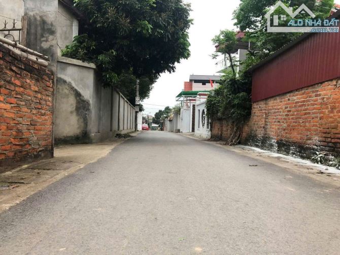 Bán 122m đất Tam Dương cách trường chuyên VP 1.5km giá tốt 1,x tỷ - 4