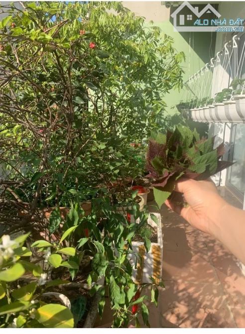 CHÍNH CHỦ GỬI BÁN NHÀ BIỆT THỰ LIỀN KỀ THỌ THÁP – CẦU GIẤY - 4