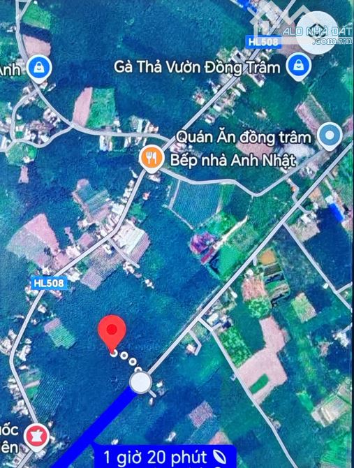 Bán 1,3ha cao su đang thu hoạch ở Phước Sang, Phú Giáo, Bình Dương giá rẻ 4 tỷ - 4