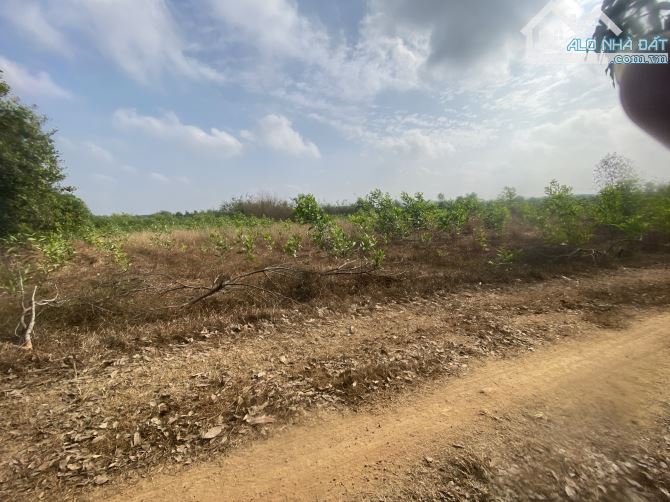 bán 6800m2 đất có 70m mặt tiền đường hiển thị chỉ với giá 200 triệu cho 1000m2 - 4