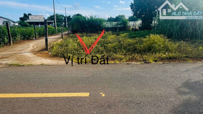 Bán lô Góc Đất 2 Mặt Tiền Đường Nhựa Nguyễn Huệ-thị trấn Đất Đỏ-Xã Đất Đỏ-Thành Phố Hồ Chí - 4