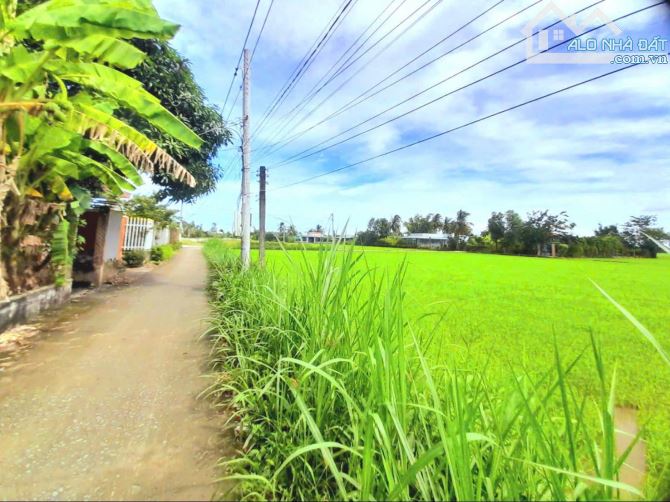 Quá ngộp, chỉ 580tr sở hữu 155m2 đất thổ sát chợ Tân Trụ - 5