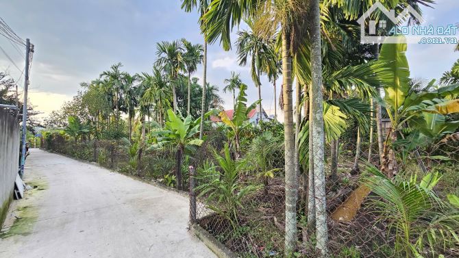 3,55Tỷ TL🔥Bán đất 220m2 đường Hưng Định 21, P.Hưng Định, Tp.Thuận An - 5