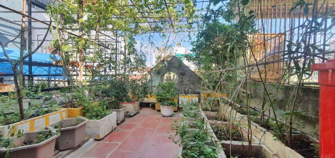 💥 PHÂN LÔ QUÂN ĐỘI 🏡NGUYỄN NGỌC NẠI -  THANH XUÂN - 6