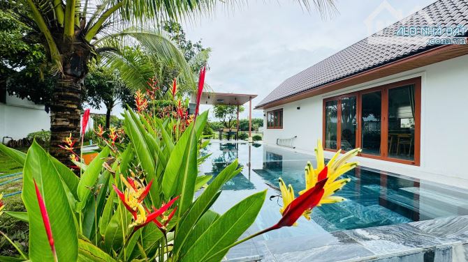 CĂN NHÀ VƯỜN RỘNG 20M ngay CHỢ LÁNG DÀI GẦN BIỂN LỘC AN🏝️🏝️ ------ Dt: ngang 20x23m - 7